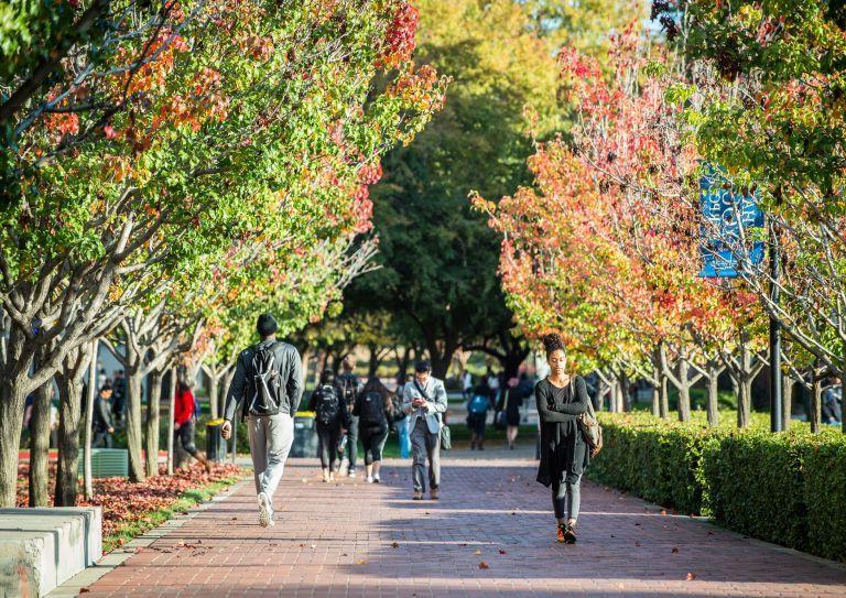 students walk on campus in the fall